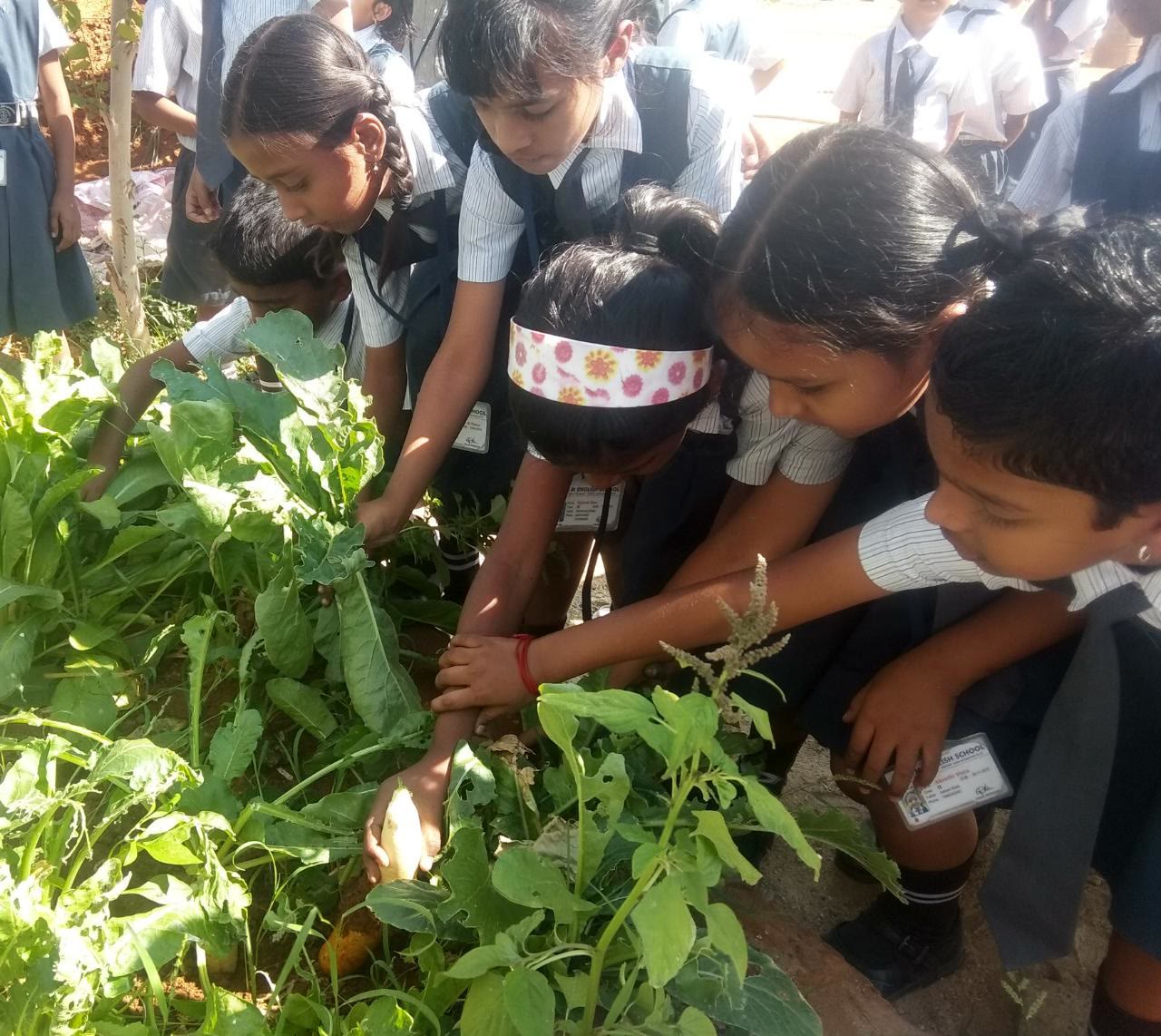 SM School at a Glance photo 84